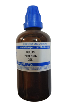 https://cdn.shopify.com/s/files/1/1857/6931/products/Bellis_Perennis_30C-removebg-preview.png?v=1623660266