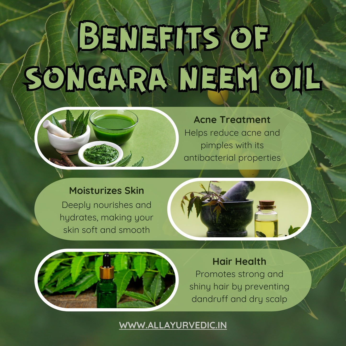 https://cdn.shopify.com/s/files/1/1857/6931/files/Benefits_of_Neem_Oil.jpg?v=1778160592