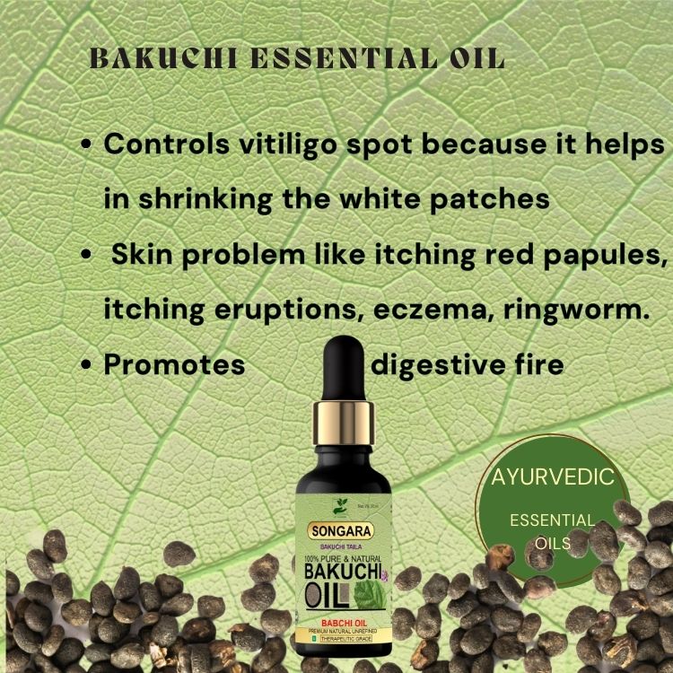 https://cdn.shopify.com/s/files/1/1857/6931/files/BenefitsofSongaraBakuchioil.jpg?v=1778160335