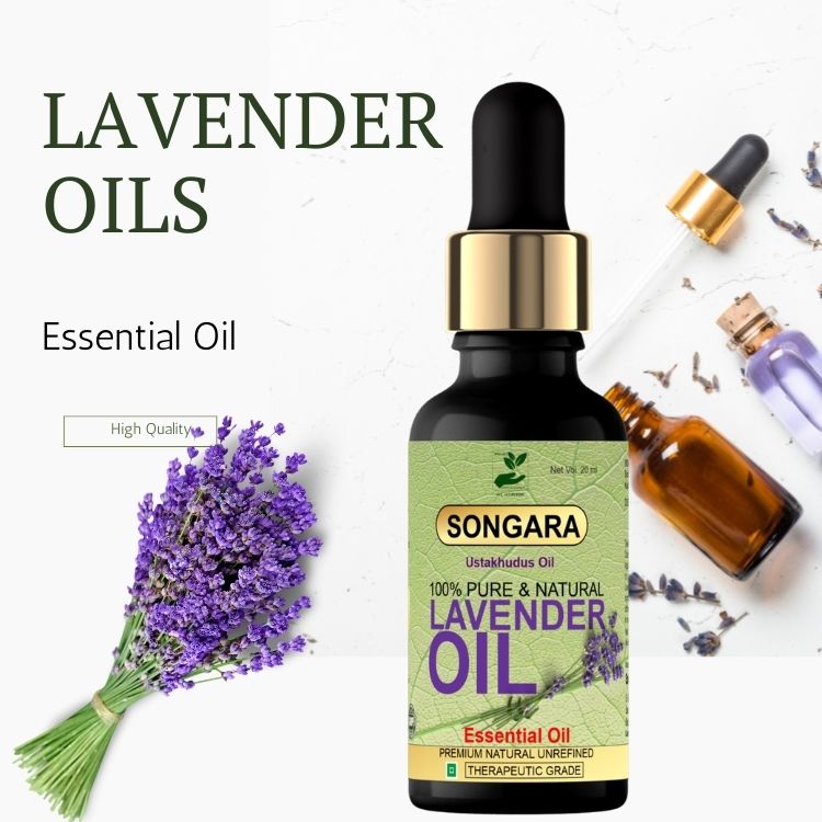 https://cdn.shopify.com/s/files/1/1857/6931/files/BestLavenderEssentialOil.jpg?v=1778160340