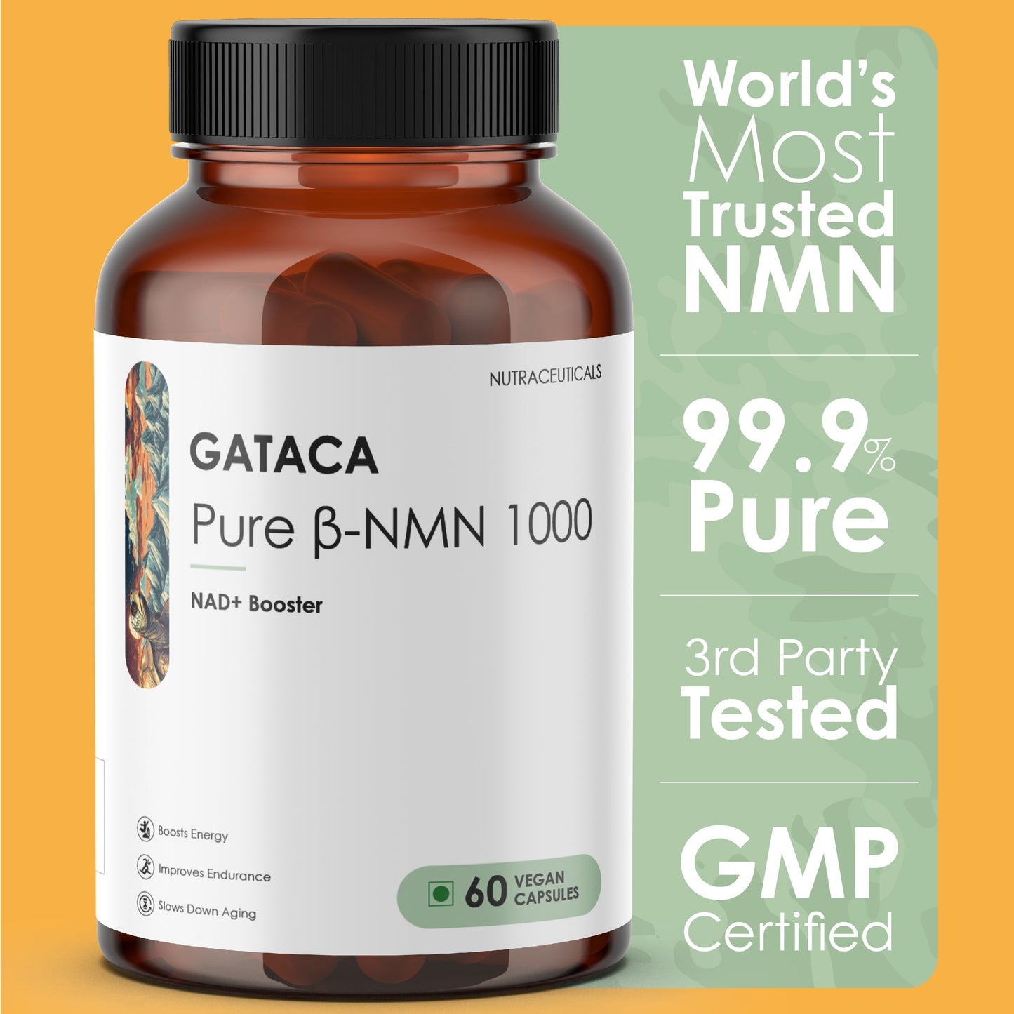 https://cdn.shopify.com/s/files/1/1857/6931/files/Best_NMN_Supplement_in_India_Gataca_1000mg.jpg?v=1761304787
