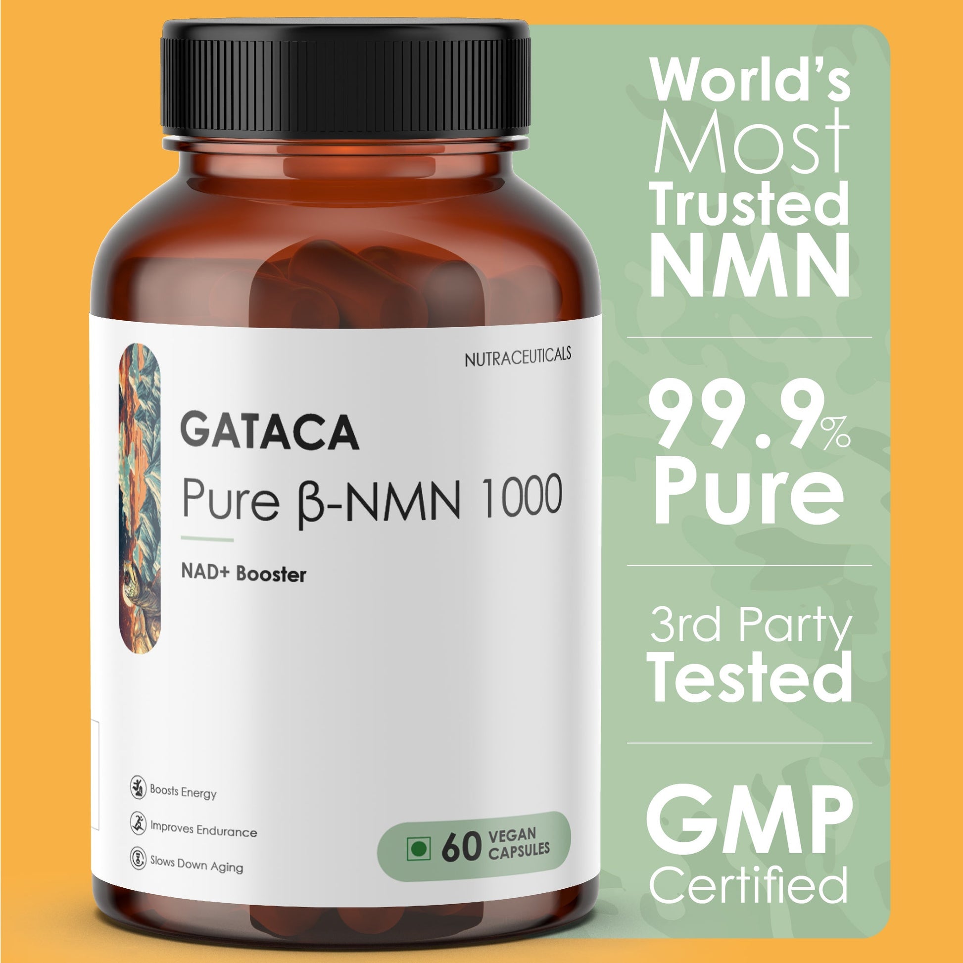 https://cdn.shopify.com/s/files/1/1857/6931/files/Best_NMN_Supplement_in_India_Gataca_1000mg.jpg?v=1761304787