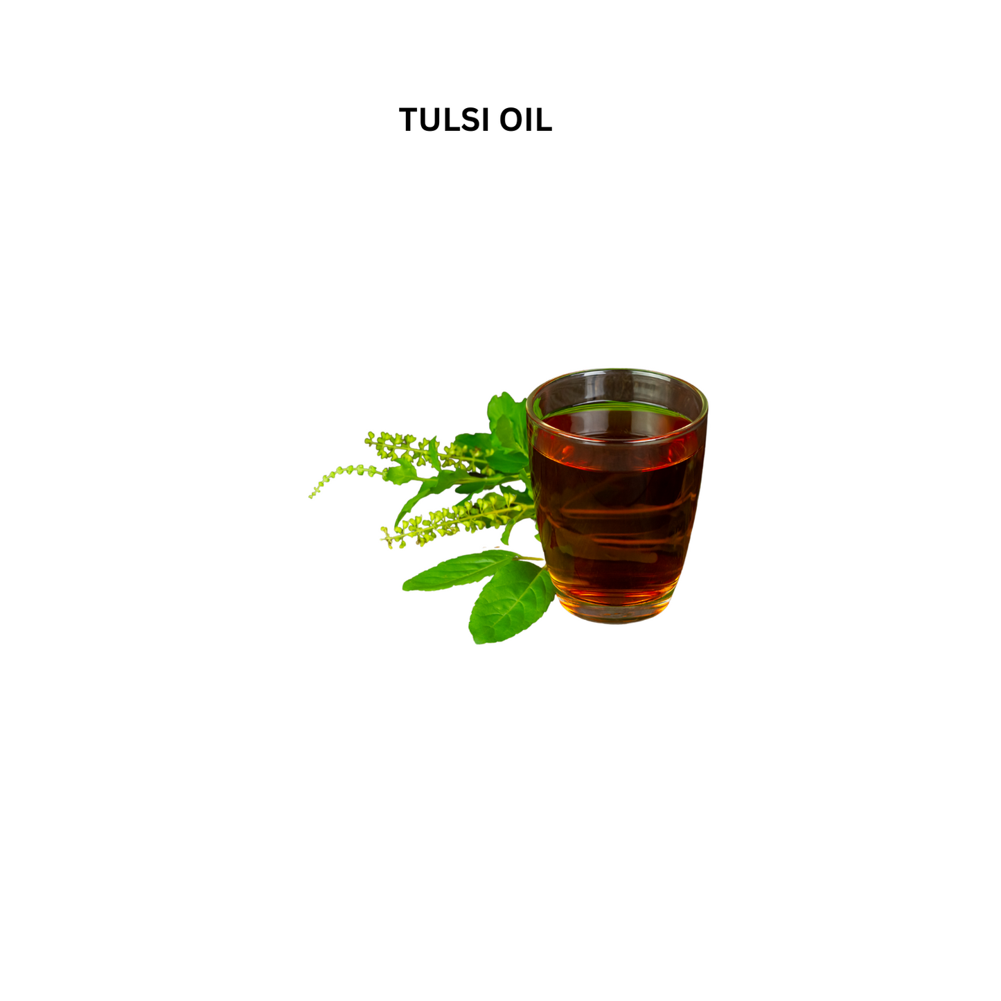 https://cdn.shopify.com/s/files/1/1857/6931/files/BestayurvedicTulsioil.png?v=1778160576