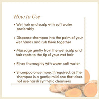 https://cdn.shopify.com/s/files/1/1857/6931/products/BfEWwY8rrp.jpg?v=1667211613