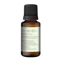 https://cdn.shopify.com/s/files/1/1857/6931/products/BfjAyBRzHg.jpg?v=1665062098