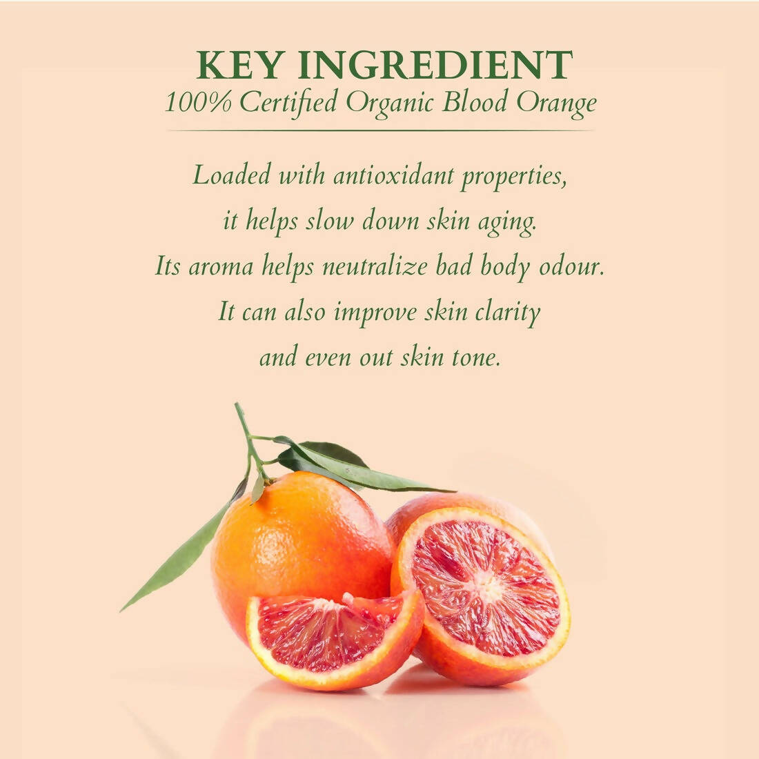 https://cdn.shopify.com/s/files/1/1857/6931/products/BhEhhLM5WH.jpg?v=1697176191