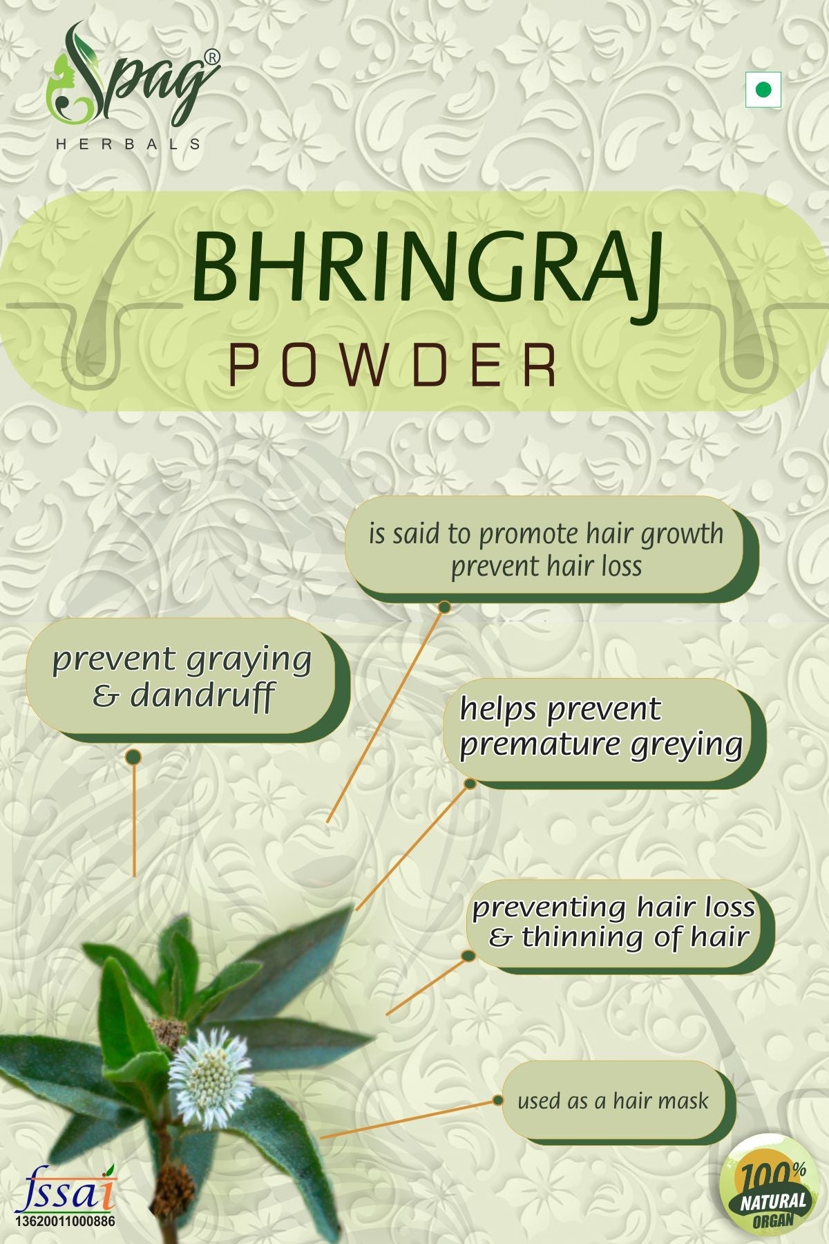 https://cdn.shopify.com/s/files/1/1857/6931/products/Bhringraj1.jpg?v=1681990596