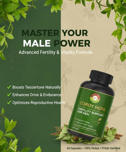 https://cdn.shopify.com/s/files/1/1857/6931/files/BhtgWkgAru.jpg?v=1771491762