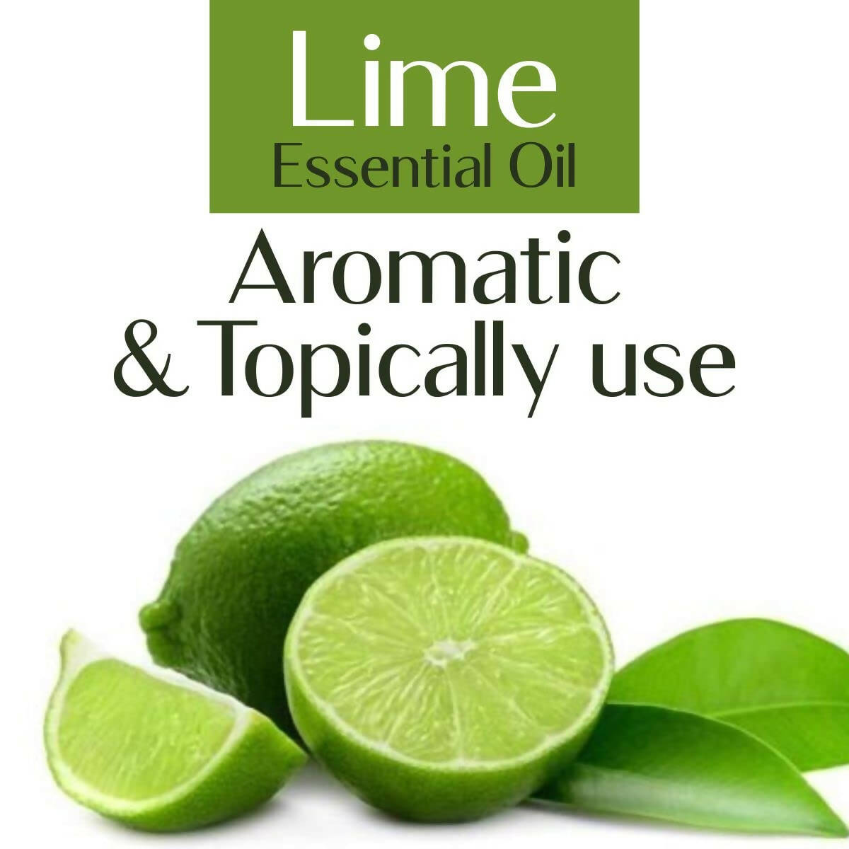https://cdn.shopify.com/s/files/1/1857/6931/products/BiZtycbMAv.jpg?v=1683719867