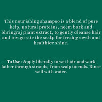 https://cdn.shopify.com/s/files/1/1857/6931/products/BiotiqueBioKelpProteinShampooForFallingHair_ce52c416-335b-4f12-9ec1-848c0ca2ff61.jpg?v=1664186502