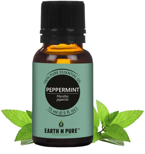https://cdn.shopify.com/s/files/1/1857/6931/products/BjtY0Y9JC8.jpg?v=1646138133