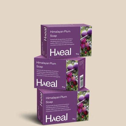 https://cdn.shopify.com/s/files/1/1857/6931/products/BjvslphyHj.jpg?v=1631364185