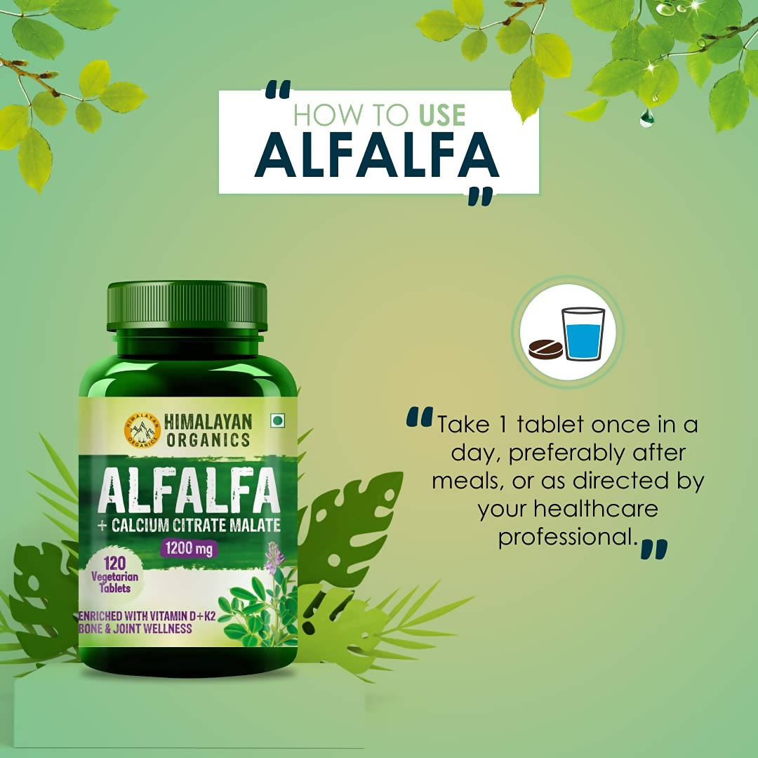 https://cdn.shopify.com/s/files/1/1857/6931/products/Bn6DXHtJUu.jpg?v=1626854279