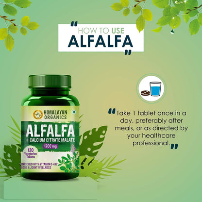 https://cdn.shopify.com/s/files/1/1857/6931/products/Bn6DXHtJUu.jpg?v=1626854279