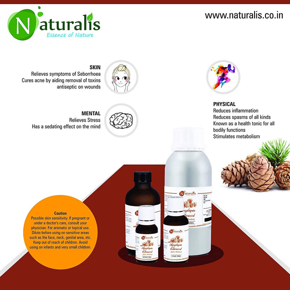 https://cdn.shopify.com/s/files/1/1857/6931/products/BopcWYJwXM.jpg?v=1623484630