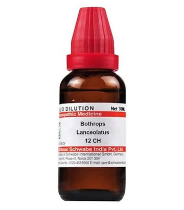 https://cdn.shopify.com/s/files/1/1857/6931/products/BqBG8I3bLl.jpg?v=1640865747