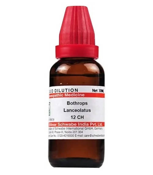 https://cdn.shopify.com/s/files/1/1857/6931/products/BqBG8I3bLl.jpg?v=1640865747