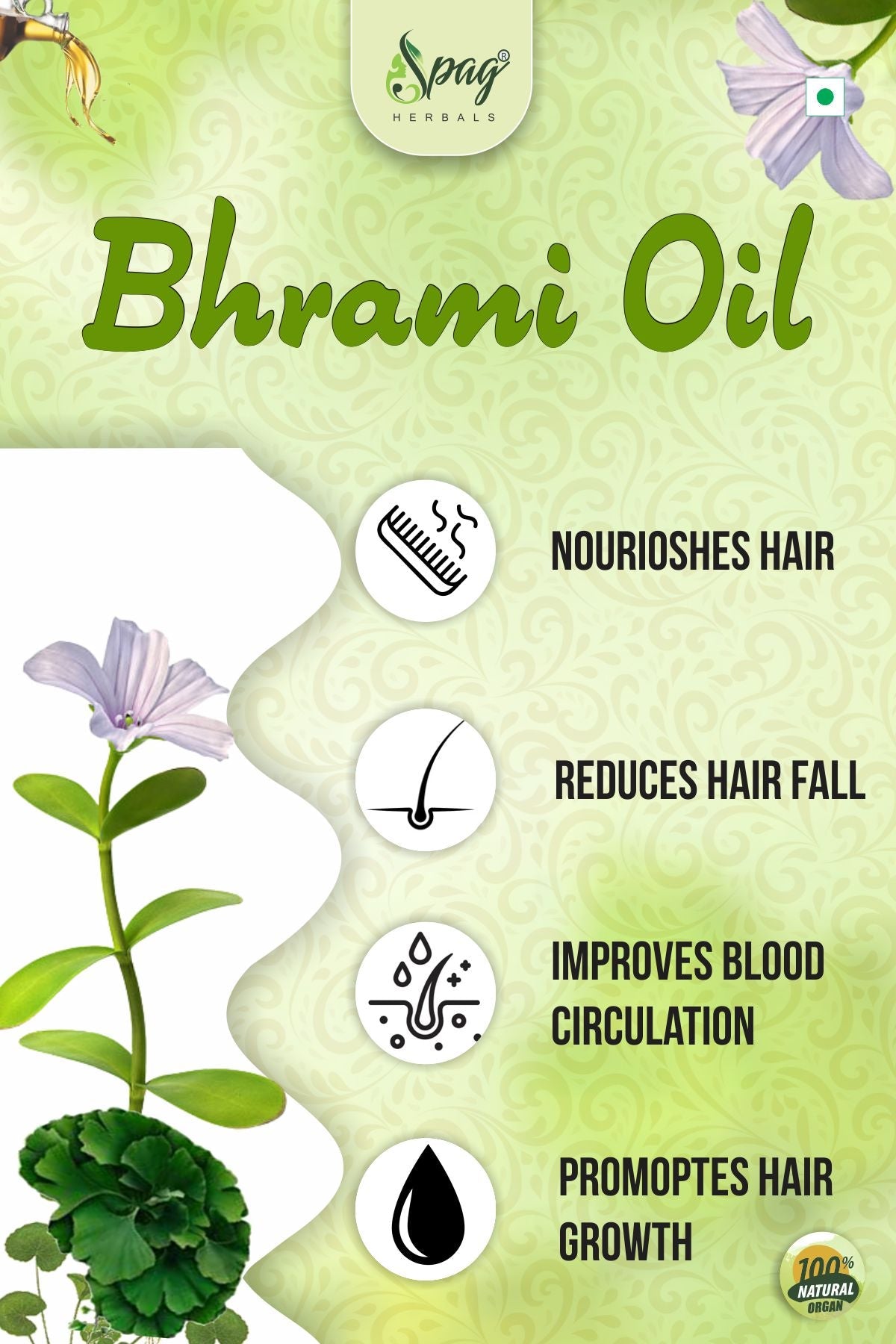 https://cdn.shopify.com/s/files/1/1857/6931/products/Brahmioil3.jpg?v=1681986699