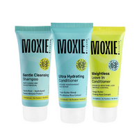 https://cdn.shopify.com/s/files/1/1857/6931/files/BsgauhNqiB.png?v=1727523834