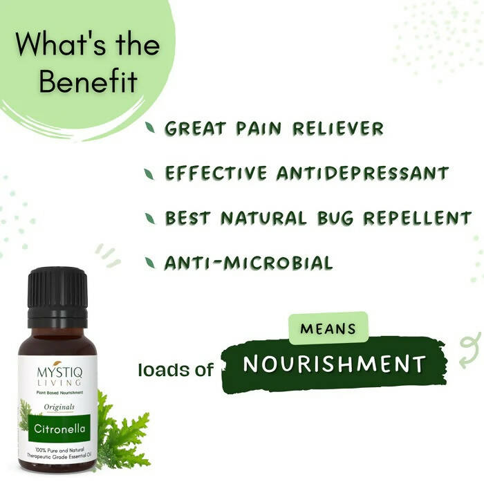 https://cdn.shopify.com/s/files/1/1857/6931/products/BvY1Og0oFF.jpg?v=1664430319