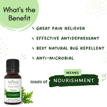 https://cdn.shopify.com/s/files/1/1857/6931/products/BvY1Og0oFF.jpg?v=1664430319
