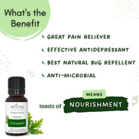 https://cdn.shopify.com/s/files/1/1857/6931/products/BvY1Og0oFF.jpg?v=1664430319