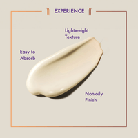 https://cdn.shopify.com/s/files/1/1857/6931/files/BwCYv244J7-785501.png?v=1736150940