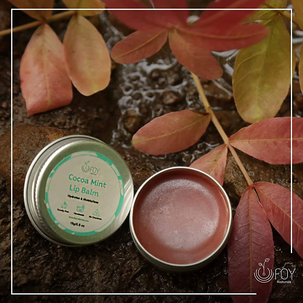 https://cdn.shopify.com/s/files/1/1857/6931/products/BxZb8iBOve.jpg?v=1649322798