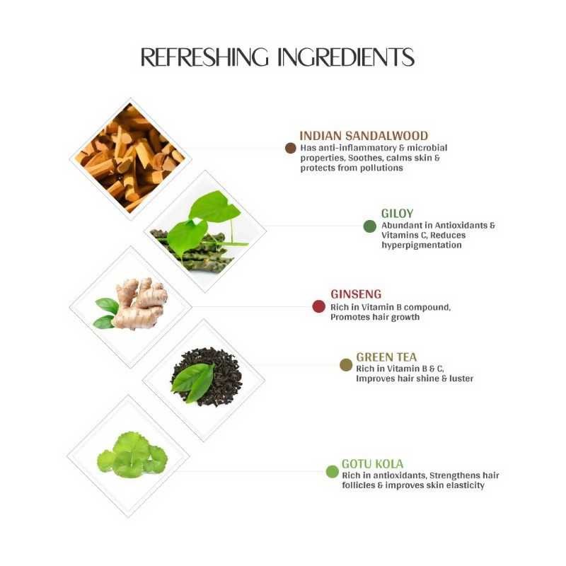 https://cdn.shopify.com/s/files/1/1857/6931/files/ByxNsYrVp2.png?v=1724153573