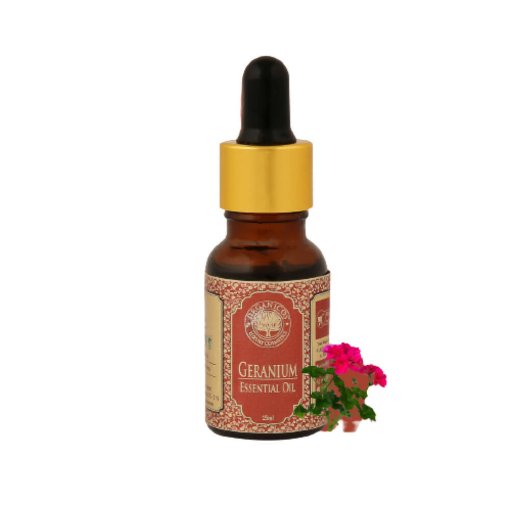 https://cdn.shopify.com/s/files/1/1857/6931/products/BzF52uM8bh.jpg?v=1663757240