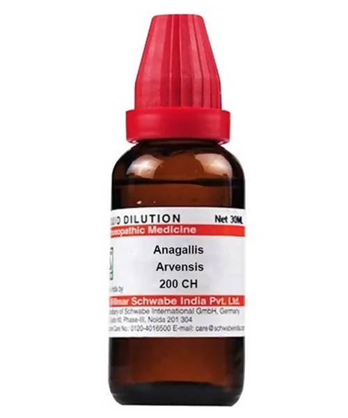https://cdn.shopify.com/s/files/1/1857/6931/products/BzvM05r4Eg.jpg?v=1640930360