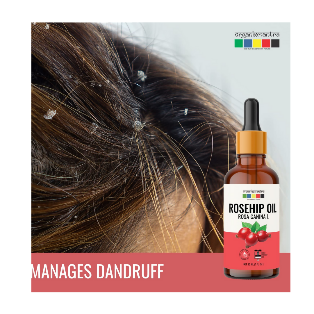 https://cdn.shopify.com/s/files/1/1857/6931/files/C0dYOc9RVB.png?v=1723201969