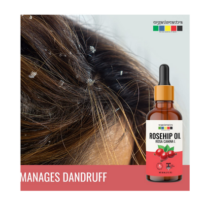 https://cdn.shopify.com/s/files/1/1857/6931/files/C0dYOc9RVB.png?v=1723201969