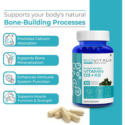 https://cdn.shopify.com/s/files/1/1857/6931/files/C0vMSolJbd.jpg?v=1727680068