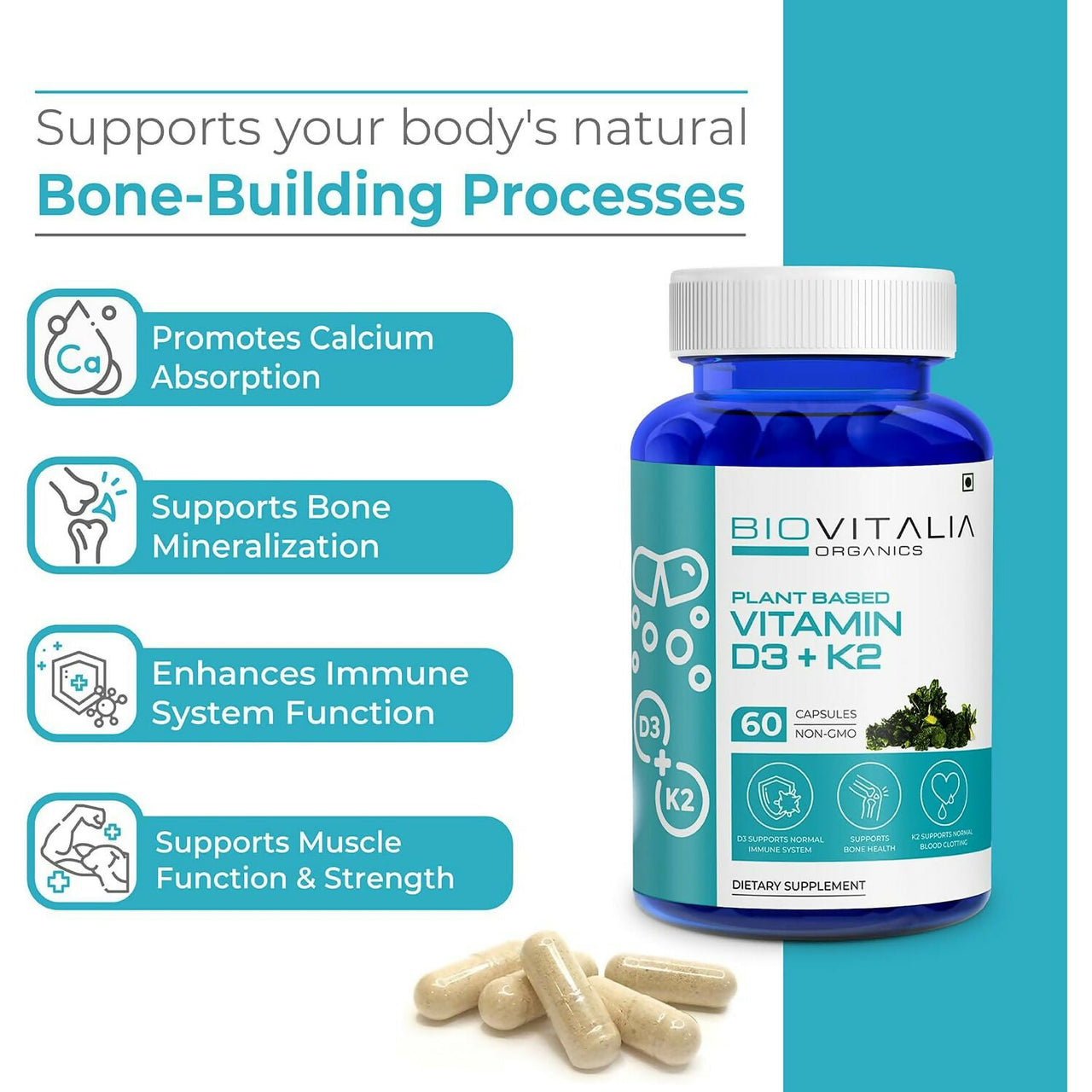 https://cdn.shopify.com/s/files/1/1857/6931/files/C0vMSolJbd.jpg?v=1727680068