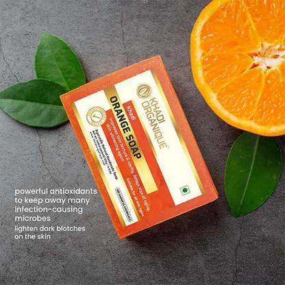 https://cdn.shopify.com/s/files/1/1857/6931/files/C2Kndv7wK5.png?v=1737463488
