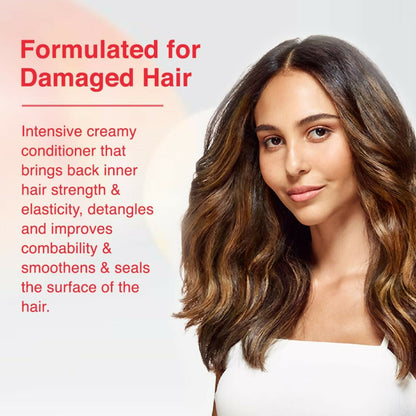 https://cdn.shopify.com/s/files/1/1857/6931/files/C31hx5Aq3I.jpg?v=1713438249