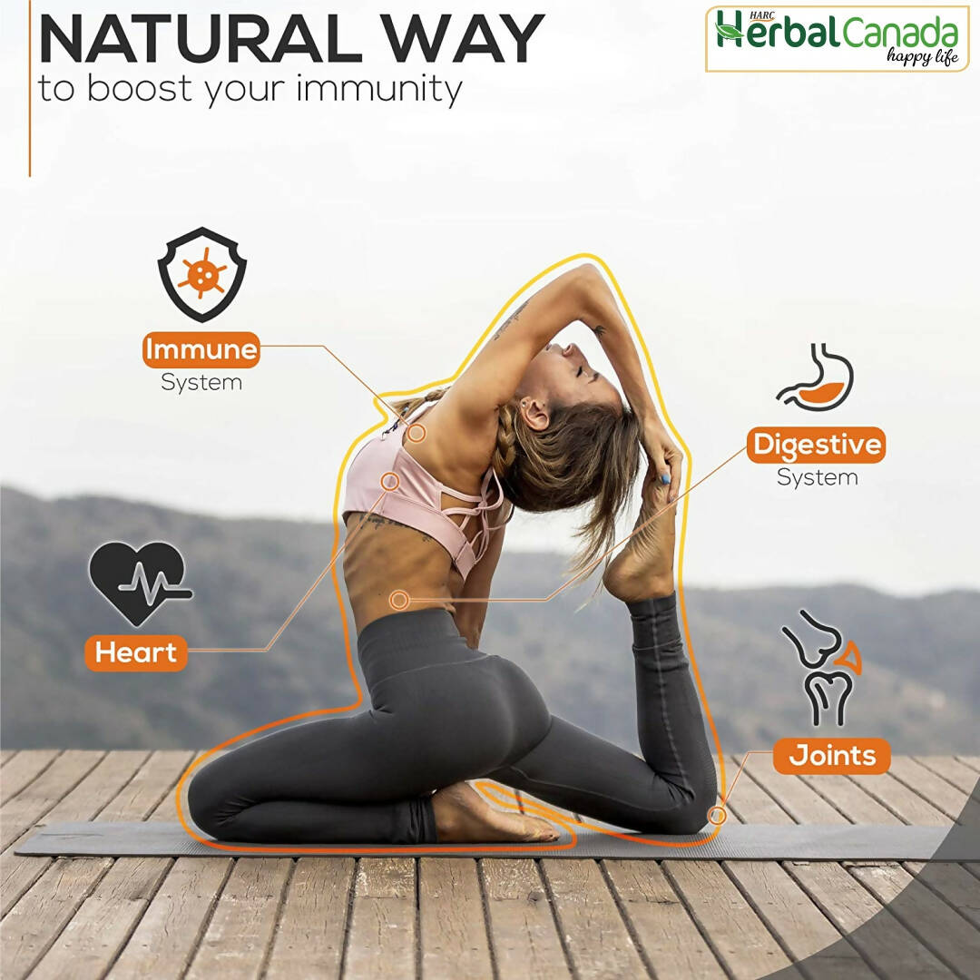 https://cdn.shopify.com/s/files/1/1857/6931/products/C3M7oTPKJl.jpg?v=1702126838