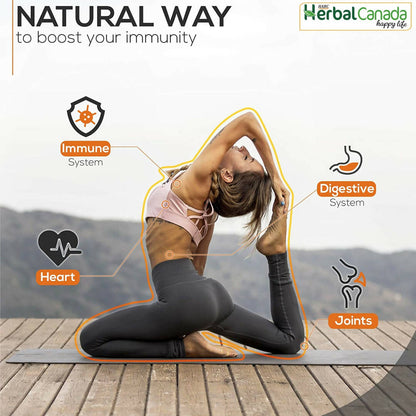 https://cdn.shopify.com/s/files/1/1857/6931/products/C3M7oTPKJl.jpg?v=1702126838