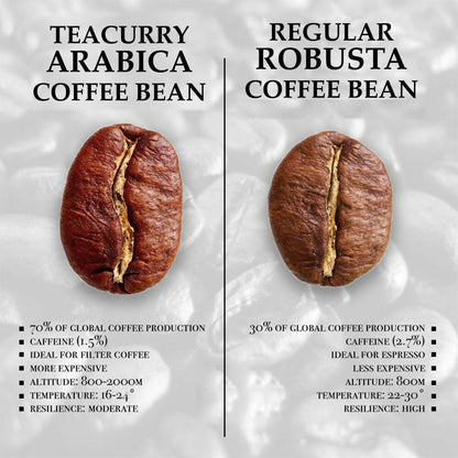 https://cdn.shopify.com/s/files/1/1857/6931/files/C4LhJgnXQC.jpg?v=1718349001