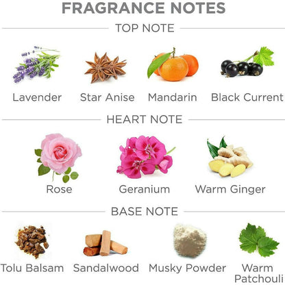 https://cdn.shopify.com/s/files/1/1857/6931/products/C7HfHE6d9D.jpg?v=1694501919