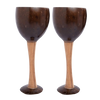 Image 1 of 200 ml / Set of 2 for the product Thenga Coconut Shell & Wooden Wine Glasses