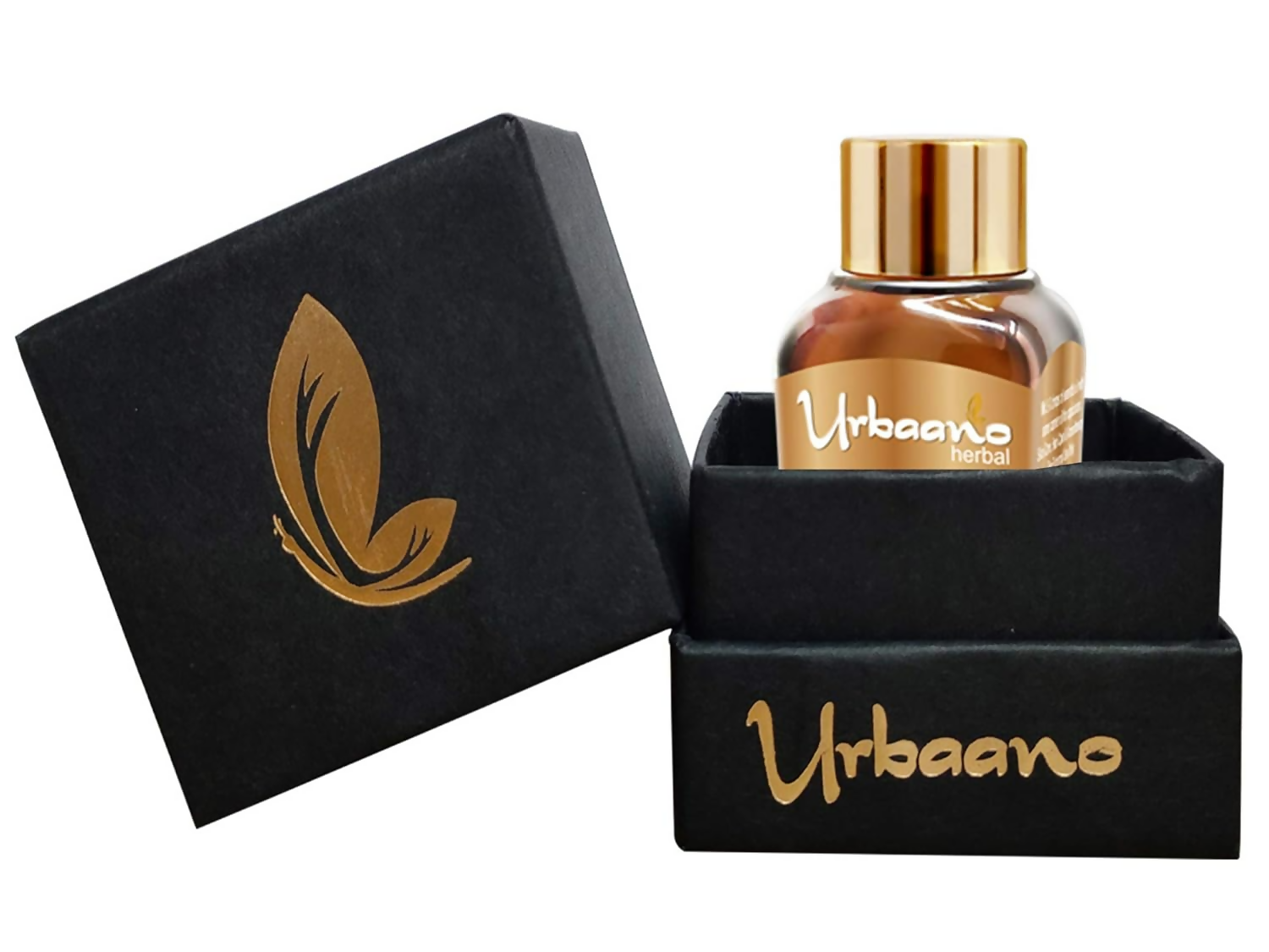 https://cdn.shopify.com/s/files/1/1857/6931/files/C8NnwWSJXU.png?v=1746602717