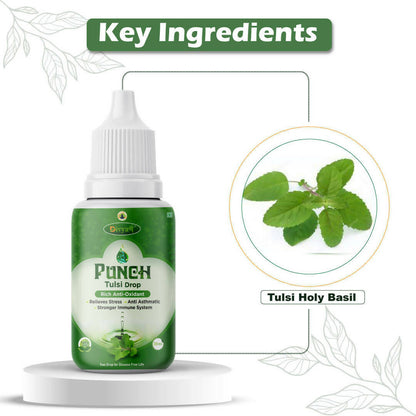 https://cdn.shopify.com/s/files/1/1857/6931/products/CAX2sxnaX4.jpg?v=1672209569