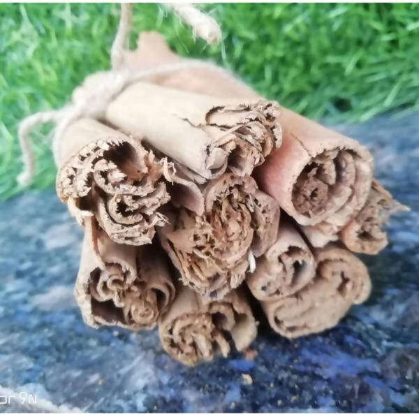 https://cdn.shopify.com/s/files/1/1857/6931/products/CBGsMqnB4Q.jpg?v=1623307099
