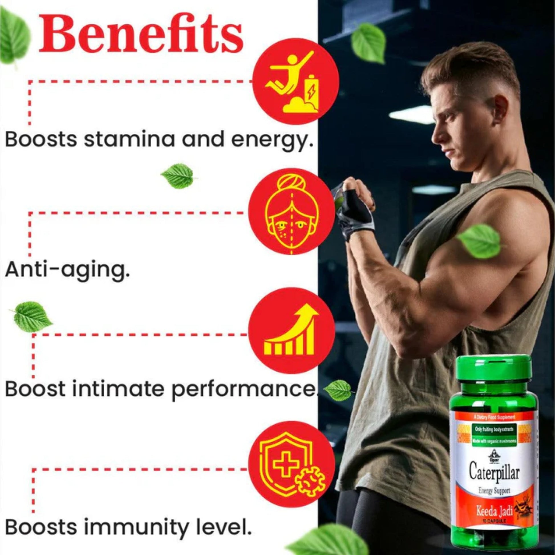 https://cdn.shopify.com/s/files/1/1857/6931/files/CCTRPLKDAJDI10-4.jpg?v=1763027361