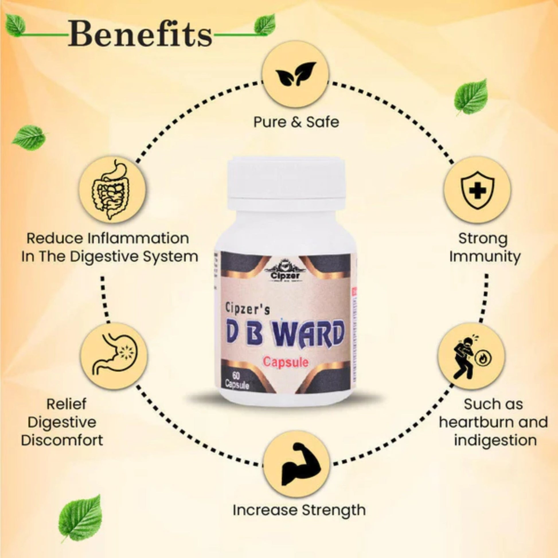 https://cdn.shopify.com/s/files/1/1857/6931/files/CDBWRD60-4.jpg?v=1762435208
