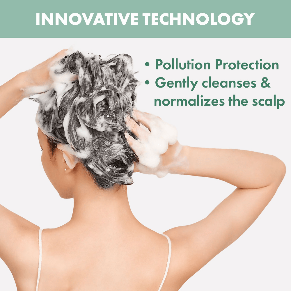 https://cdn.shopify.com/s/files/1/1857/6931/files/CDSmYP8OVD-498718.png?v=1736146328