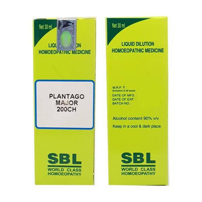 https://cdn.shopify.com/s/files/1/1857/6931/products/CGR77gmKPt.jpg?v=1613940259