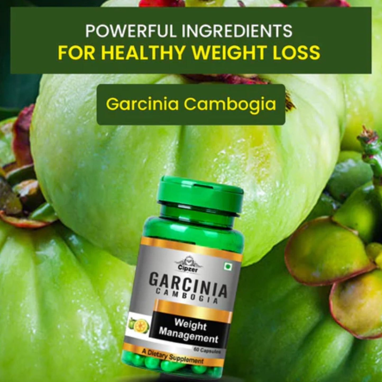 https://cdn.shopify.com/s/files/1/1857/6931/files/CGRCMG60-5.jpg?v=1763026925